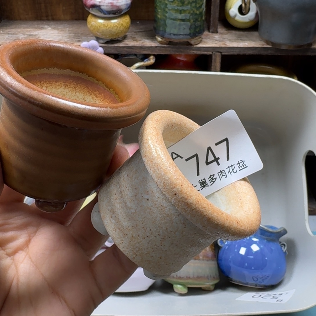 椰***冻陶瓷艺术品设计与制作