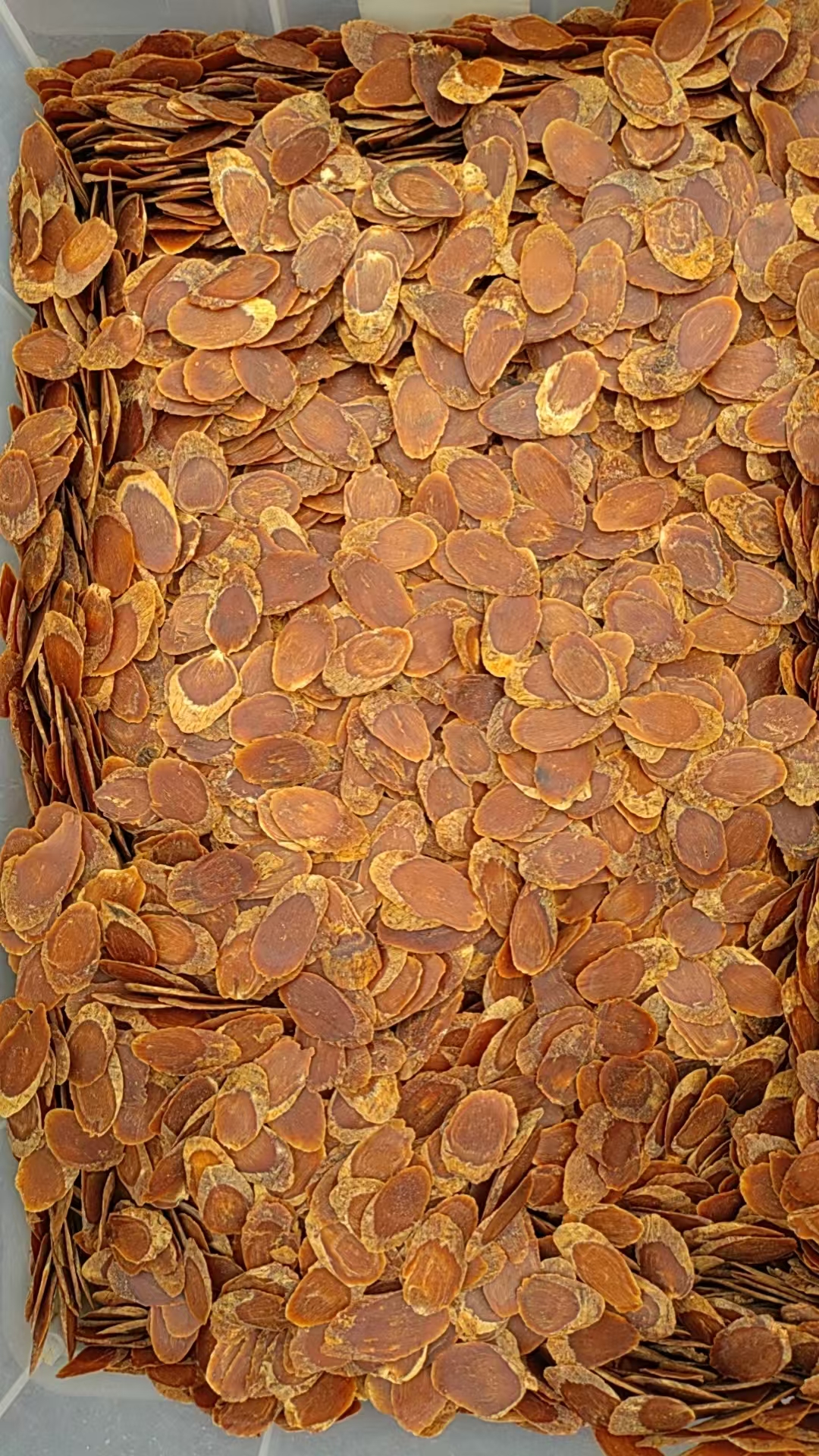 红参片《临时改价链接》