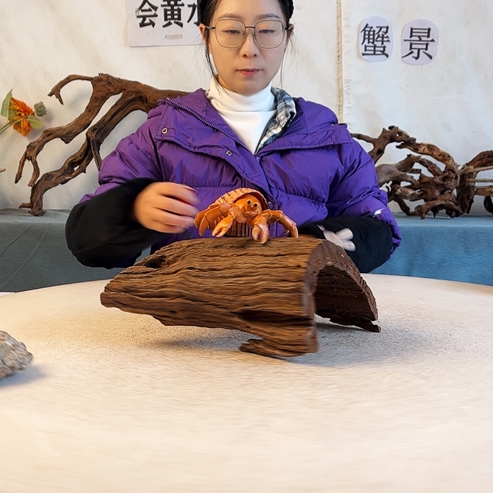 l****r新年快乐沉木造景