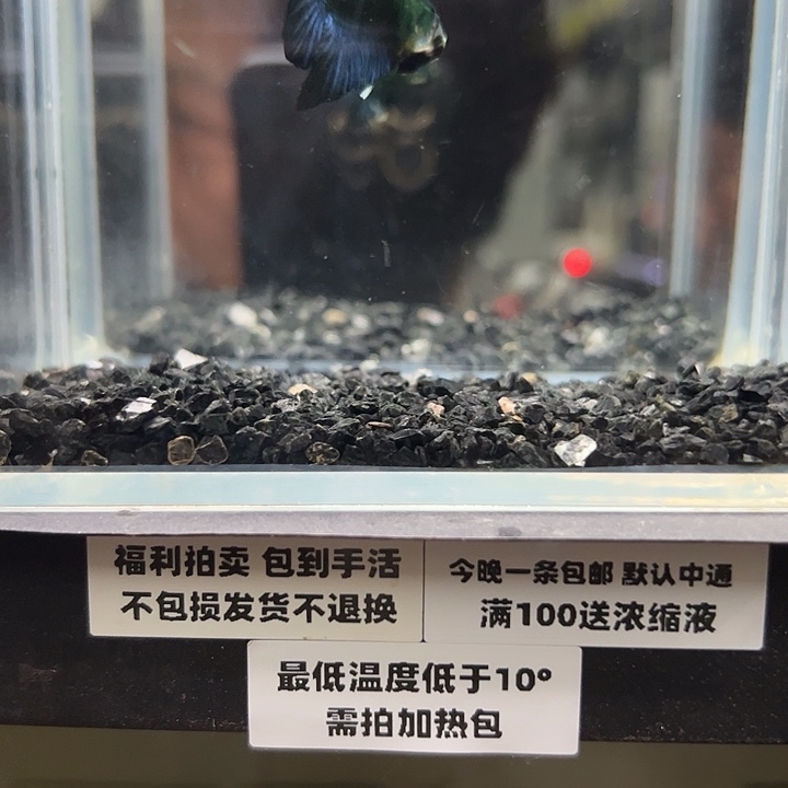 斗鱼跑单拉黑11日78