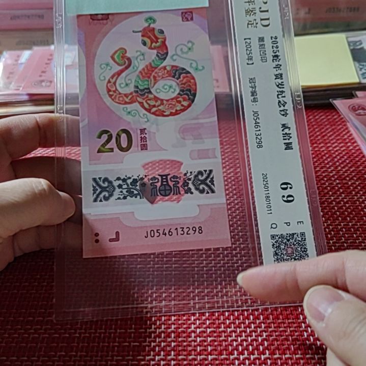 塑料小蛇钞乱蛇54613298评级