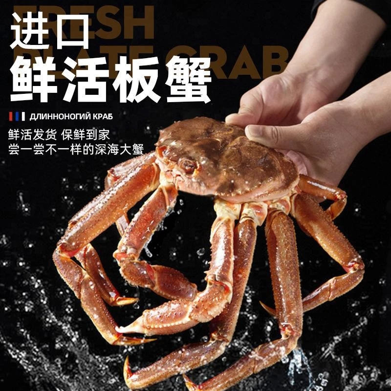 鲜活松叶蟹  板蟹  7-8成肉  保鲜不保活