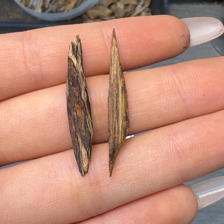 这***些柬埔寨树心油沉水0.6克