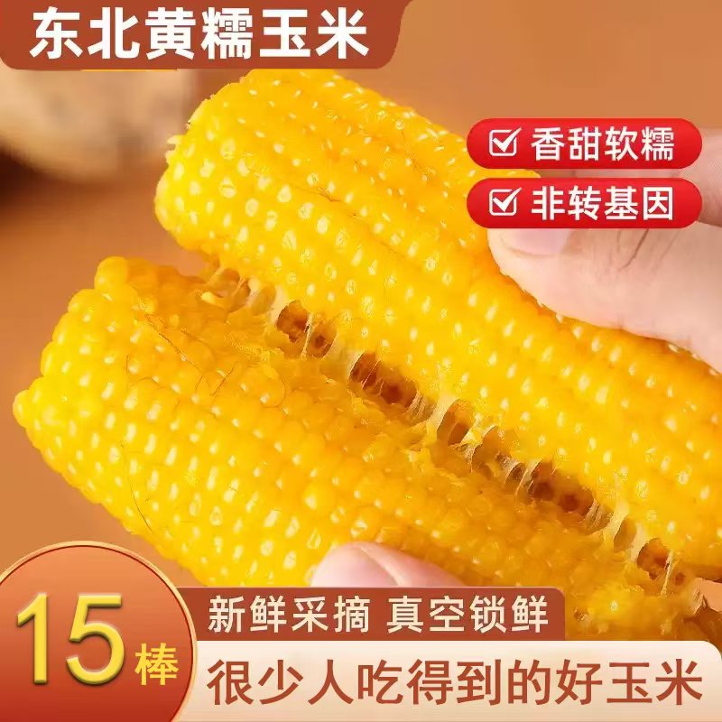 【试吃2根】东北黄糯玉米香甜软糯粗粮 软粘玉米棒整箱15支7-8斤