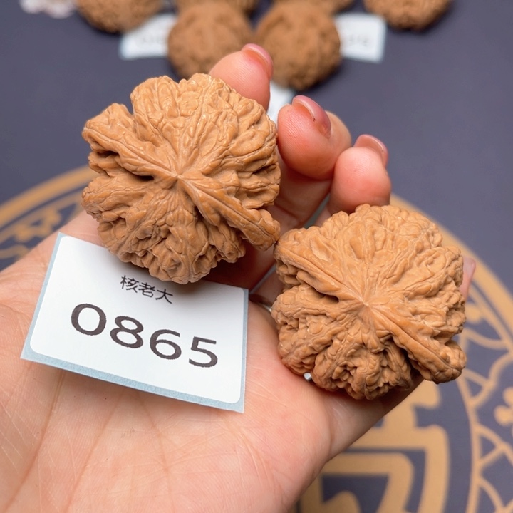 文玩核桃把件44大粗筋 0865