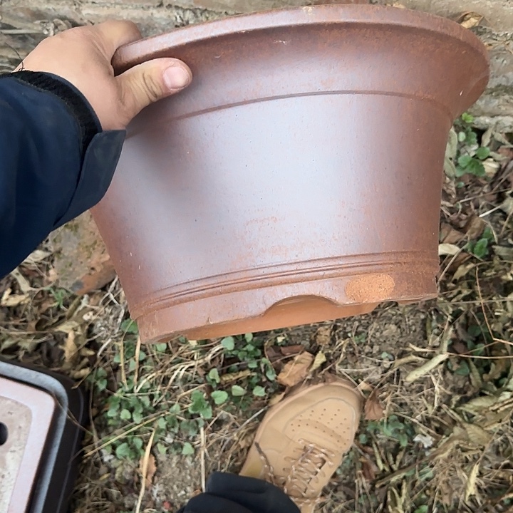 在干嘛的我也睡啦一晚上