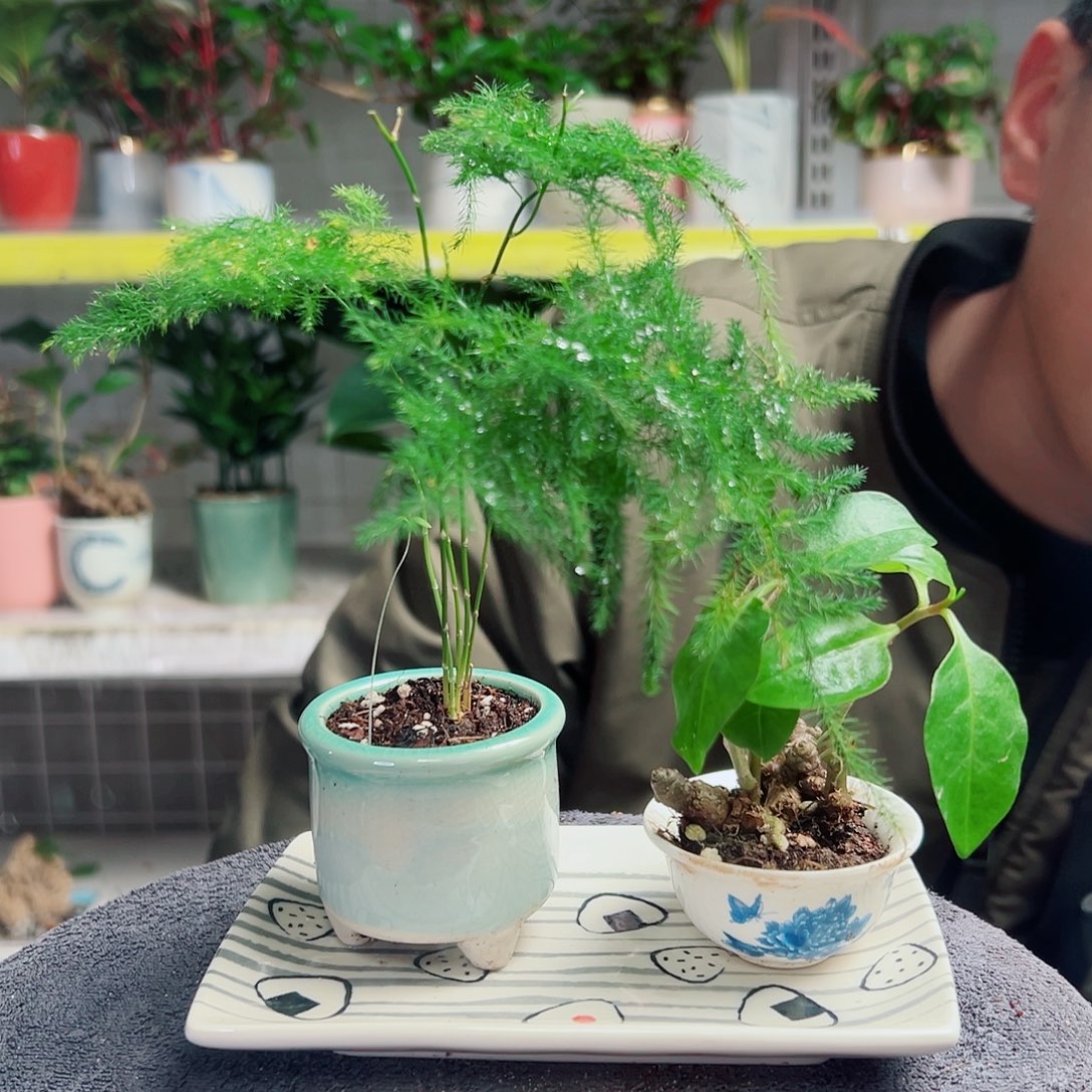 欧***阳无花朵13               