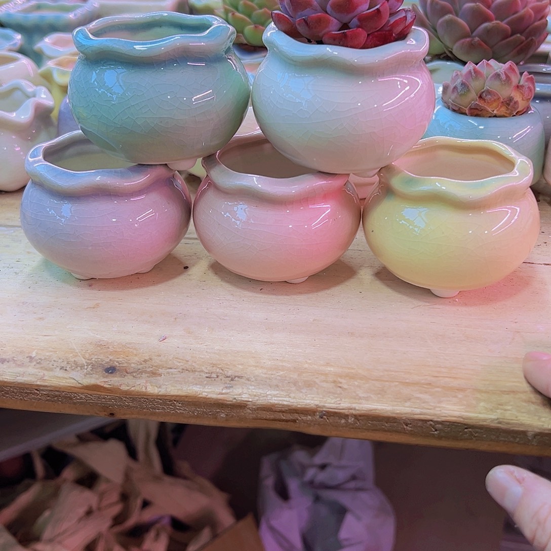 陶瓷花盆当场凑满12包邮