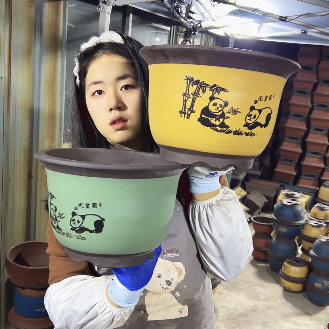 30黄色熊猫平角金钟+30绿色熊猫平角金钟