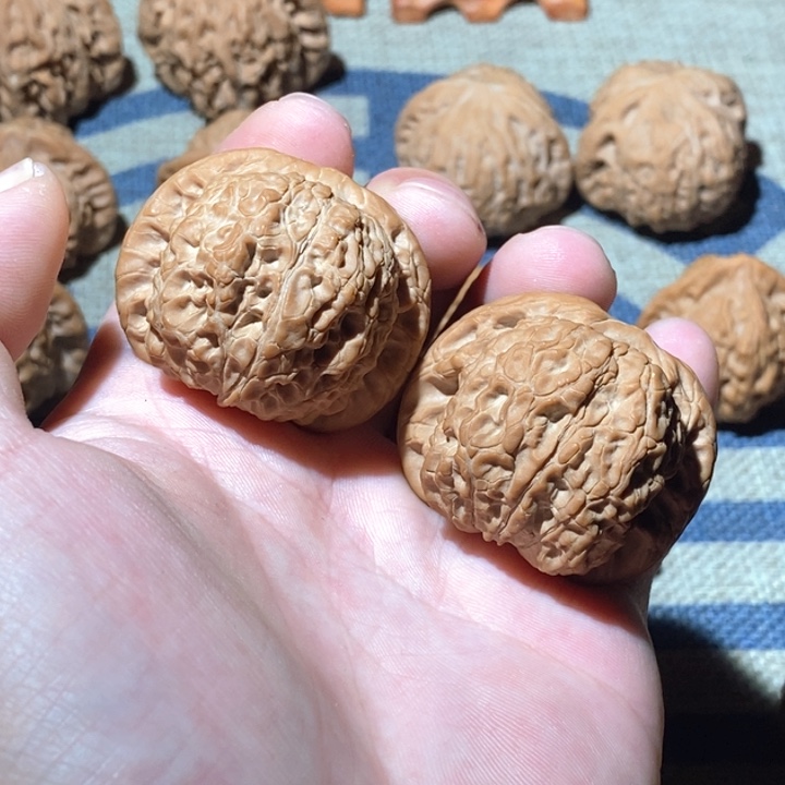 文玩核桃吊坠血麒麟