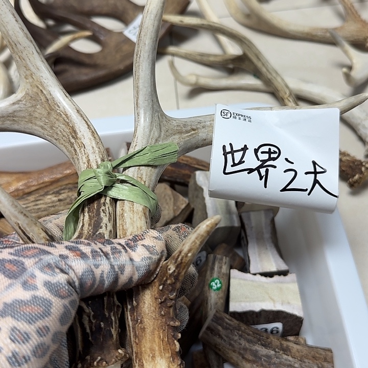 香榧木工艺品鹿角手把件