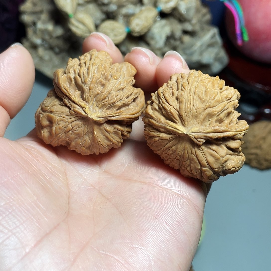 核桃手串/手链精品小众飞蛇