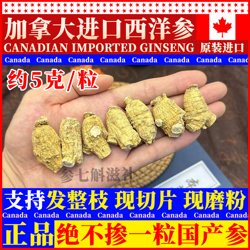 【5~6克/粒西洋参】正宗加拿大进口西洋参煮汤泡水现场切片磨粉