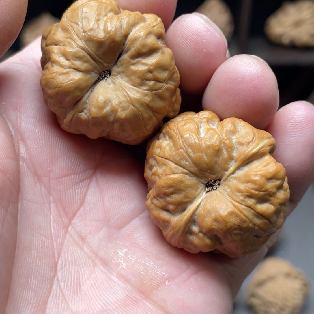 桃核把件36全品古蟾（福利）