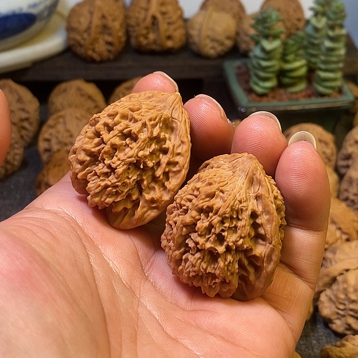 风***吹核桃全品无修无药满天星40