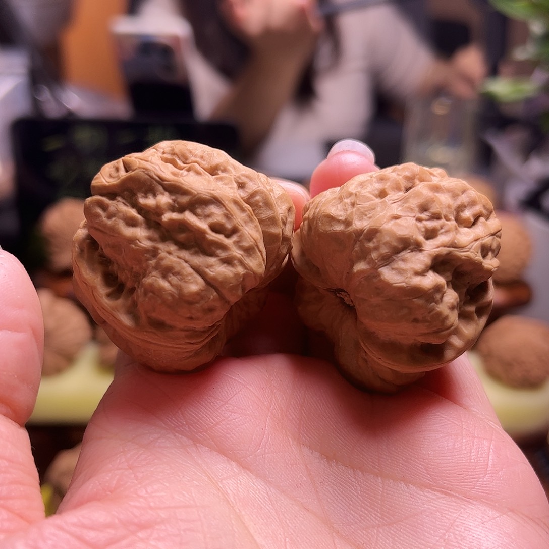 文玩核桃把件37尺白茬蛤蟆9