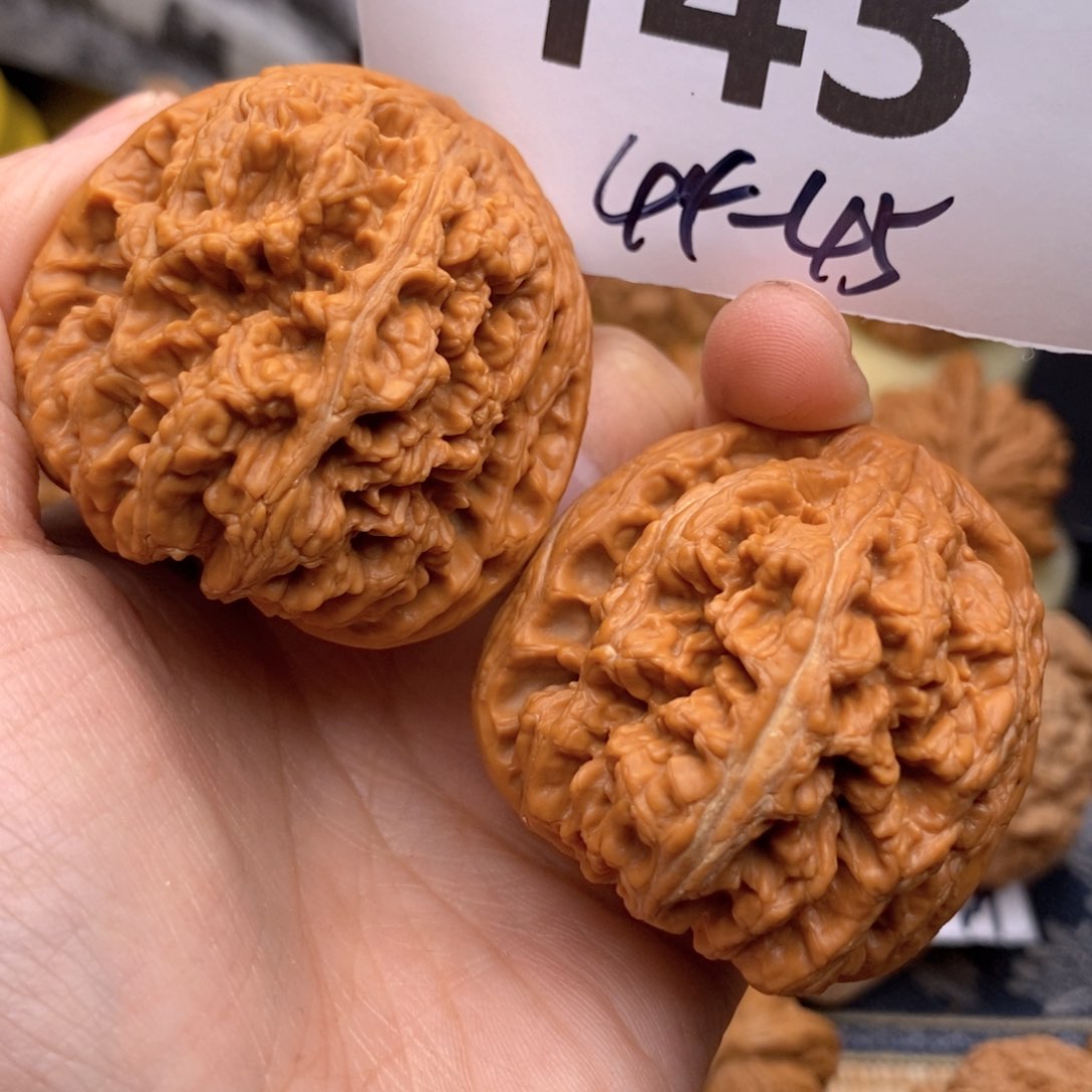 文玩核桃把件143号44粗筋