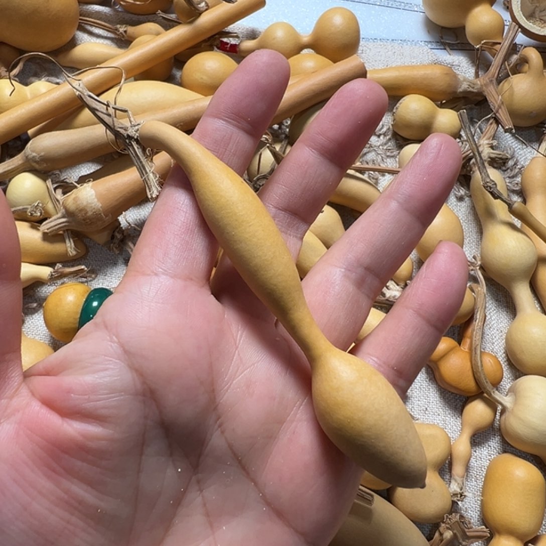 漂亮漂亮漂亮漂亮漂亮