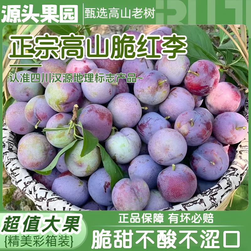 四川高山脆红李小脆红新鲜现摘应季水果黄肉脱骨脆甜多汁