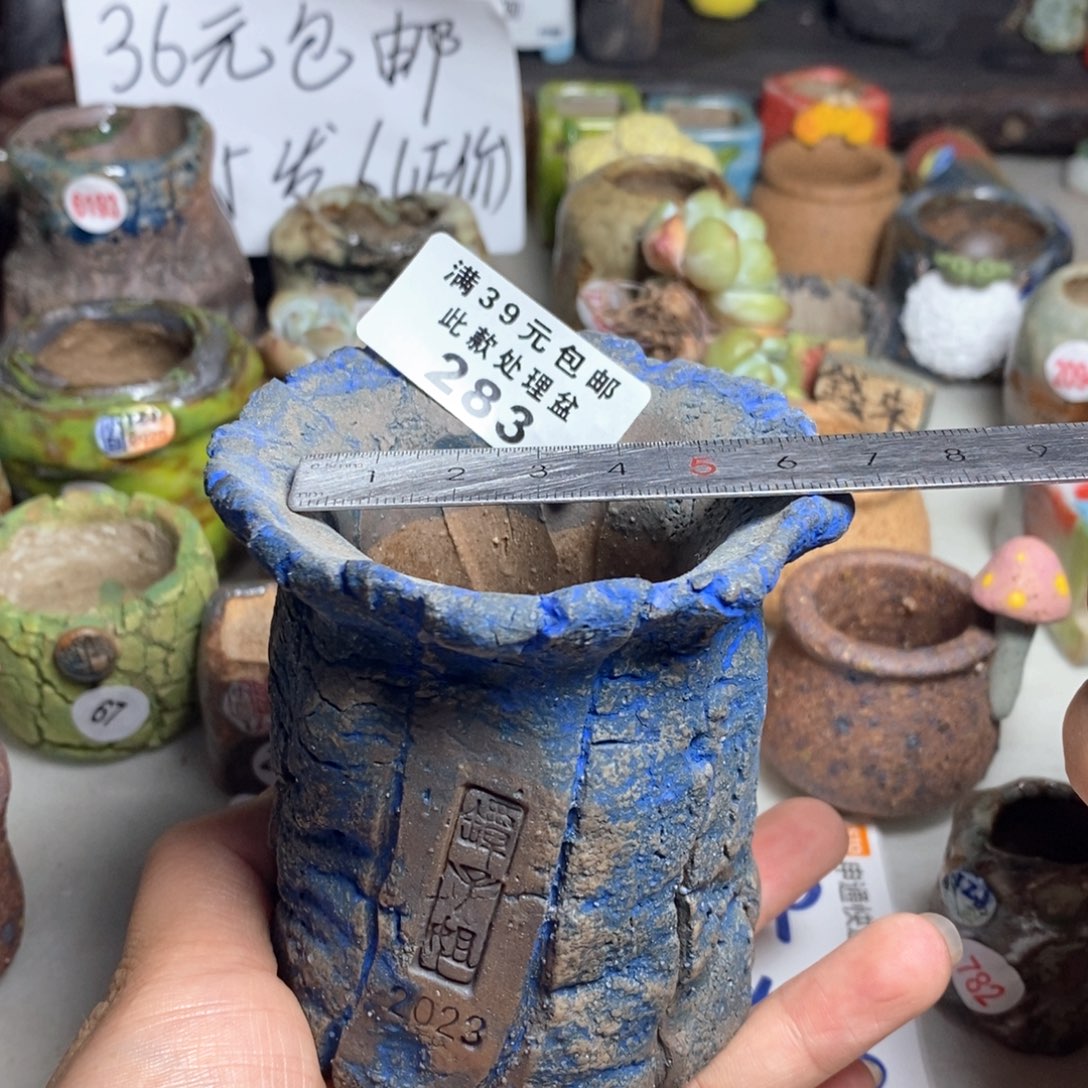 拍5送一个小礼物