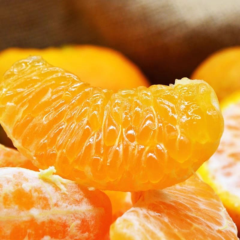 四川正宗屏山高山椪柑芦柑现摘现发清甜多汁新鲜应季