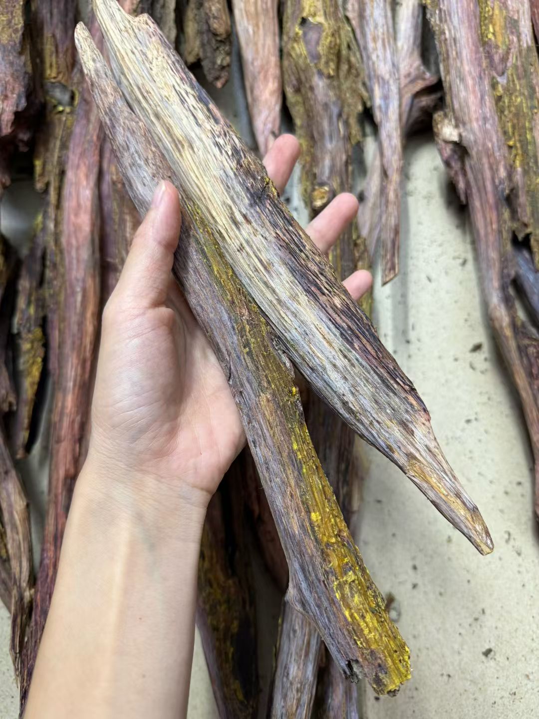 海南降真香大叶帝王熏香料