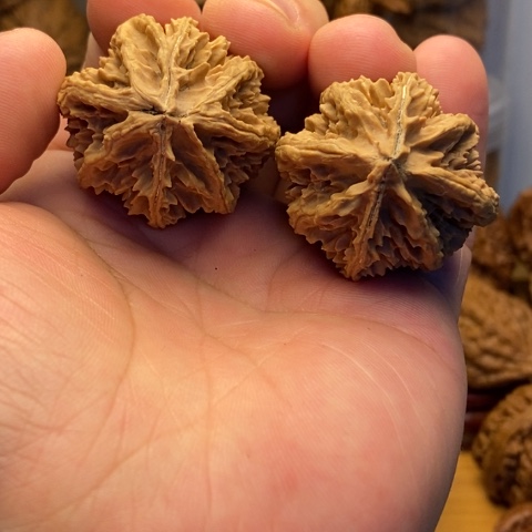 把件文玩核桃东北秋子核桃27