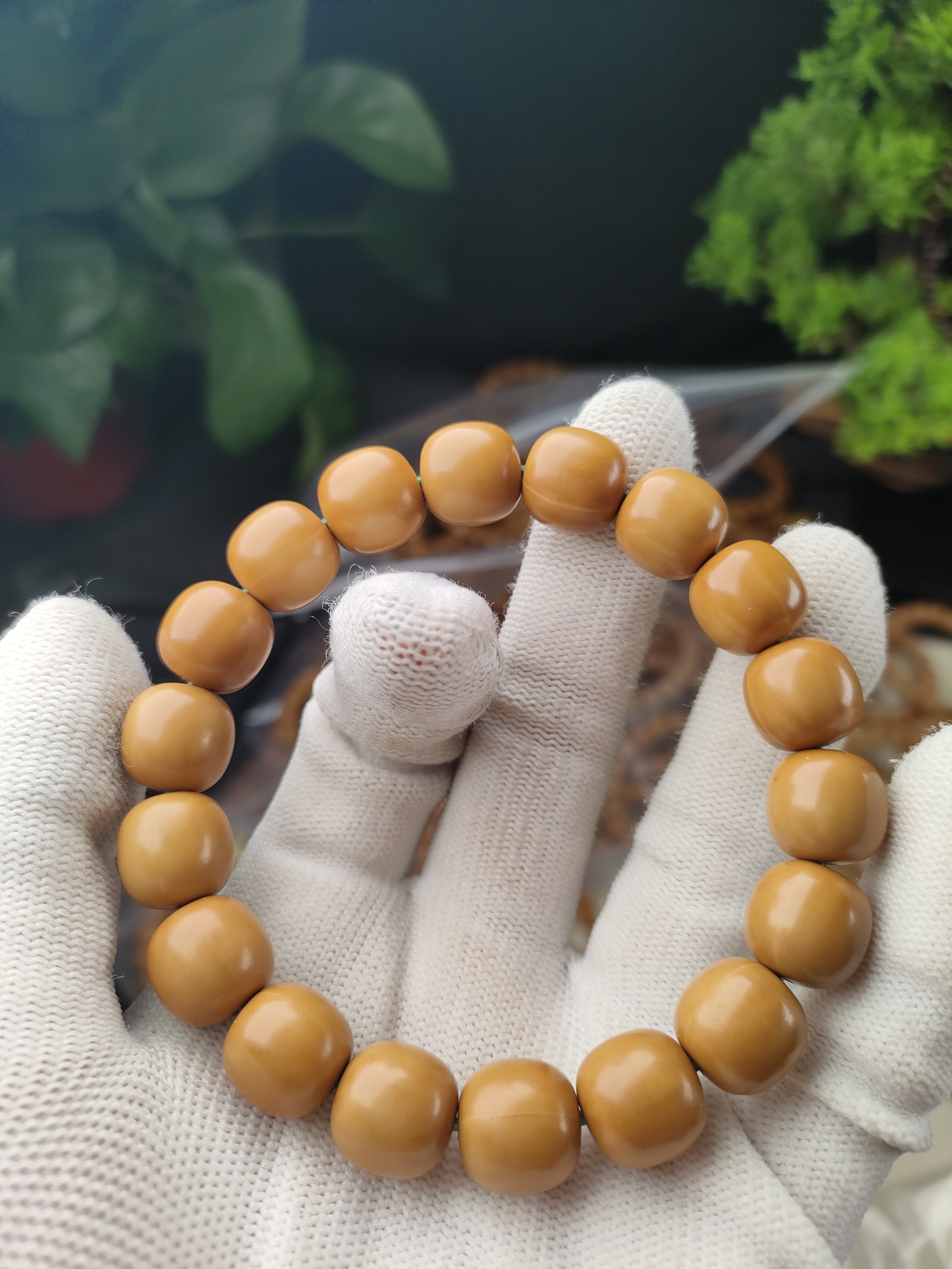 猴头核桃自然反油龙岩老邢福利 12 左右