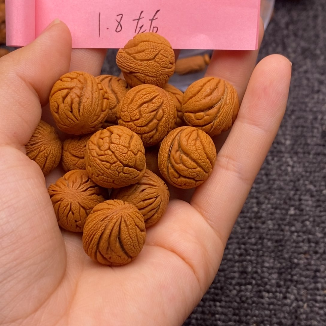 秦岭山脉龙纹桃核
