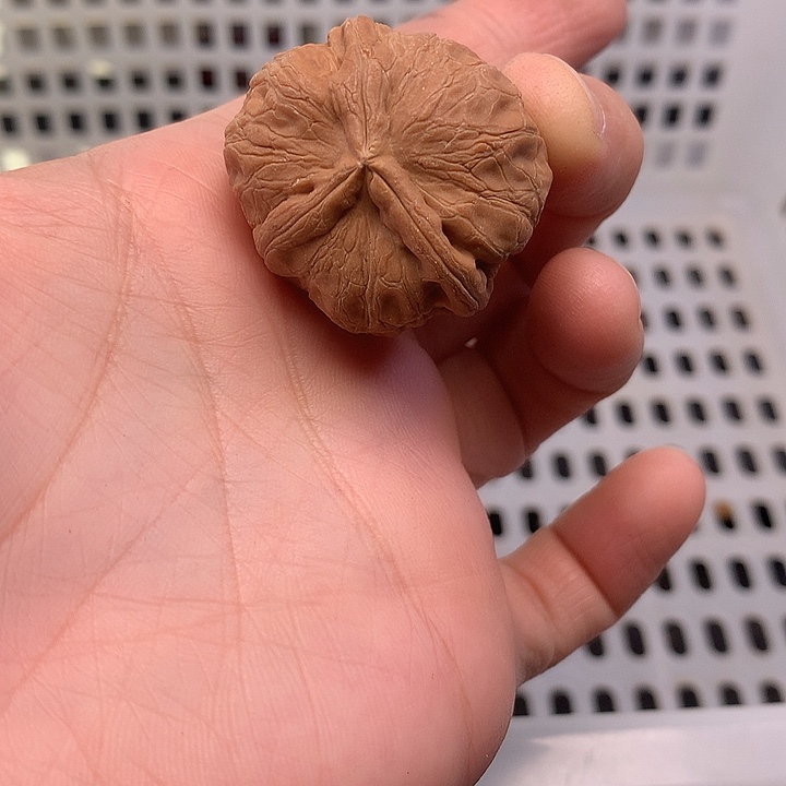 郭***店文玩核桃吊坠文玩核桃