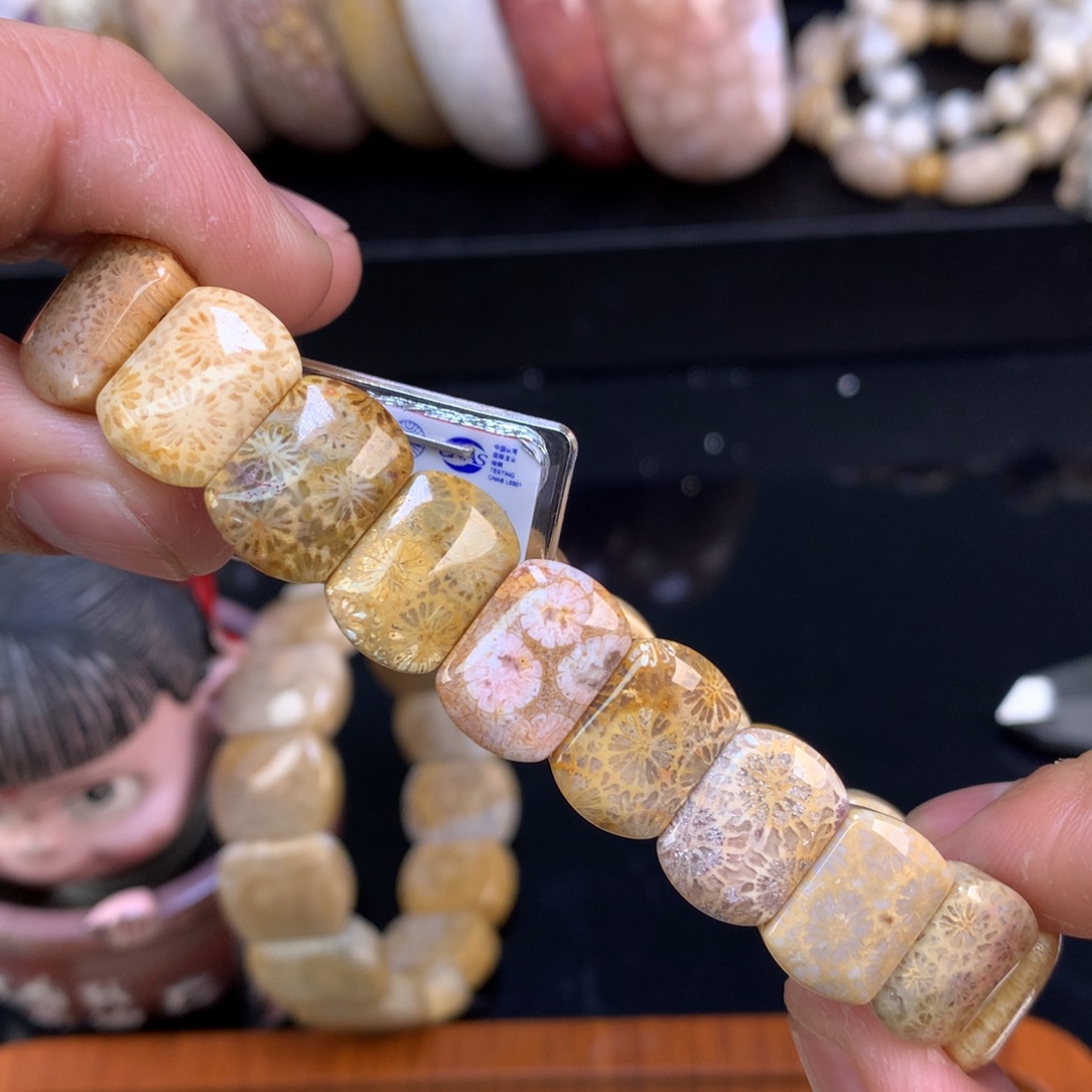 硅化珊瑚（珊瑚玉）未镶嵌颈饰106号mini版型全满花