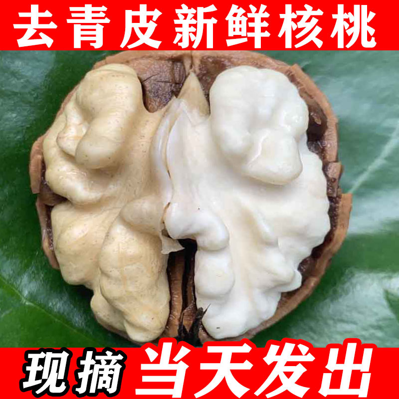2025新鲜核桃3斤5斤8斤去青皮湿核桃薄皮孕妇专用新货原味