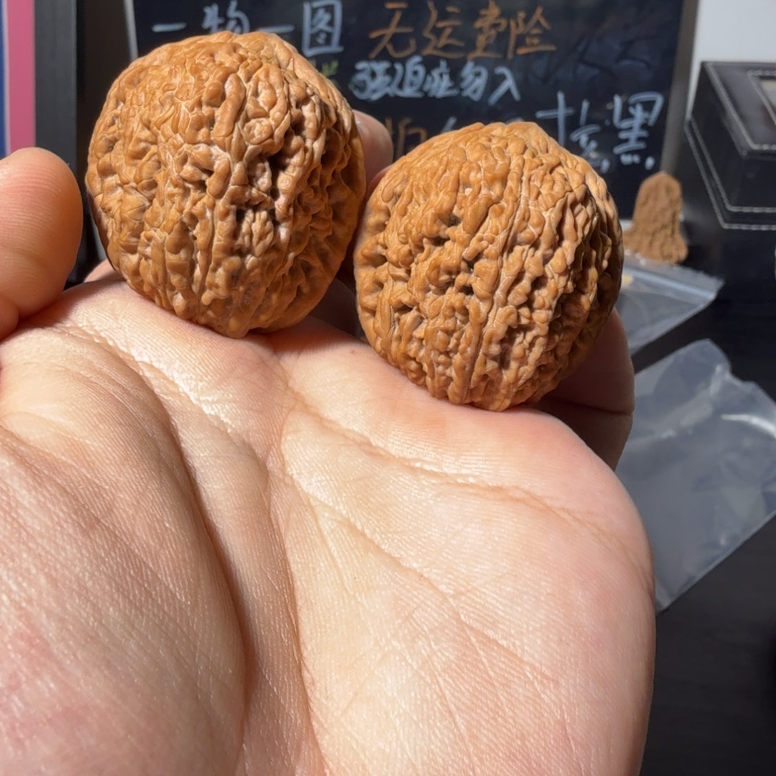 敏***子文玩核桃把件大蒜头