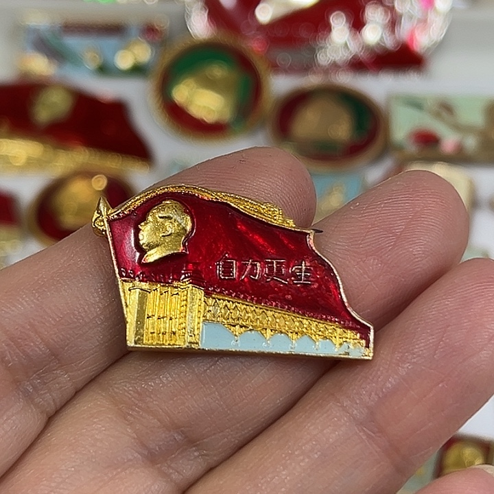 诸***珍其他普通金属纪念章