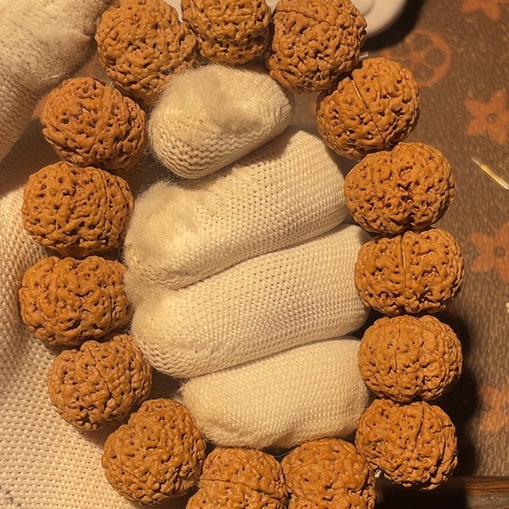 画****手串金刚菩提六瓣