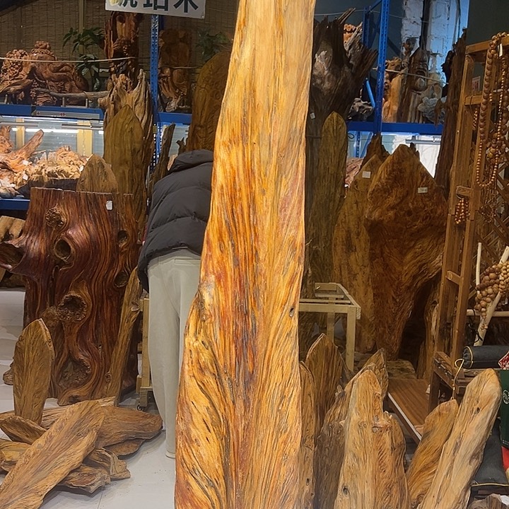 松木（琥珀木）龙*