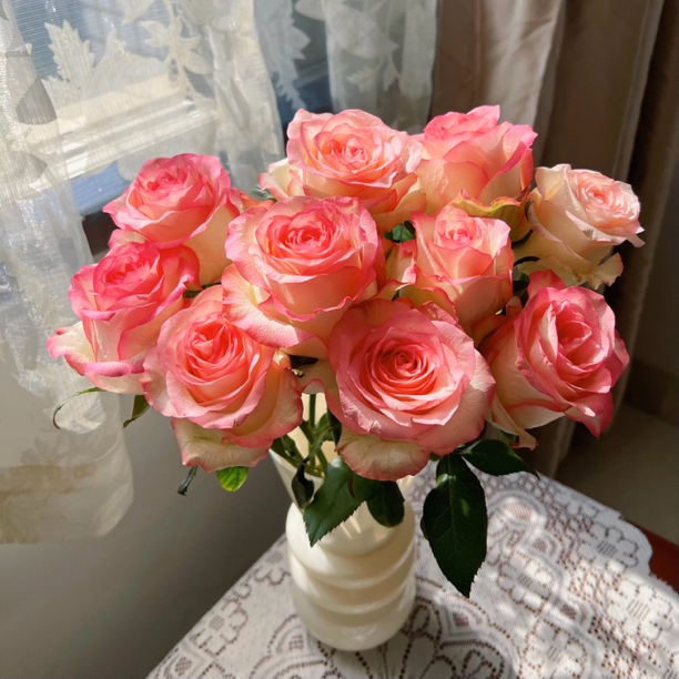 【 艾莎】玫瑰鲜花基地直发顺丰包邮办公室简单鲜花点缀