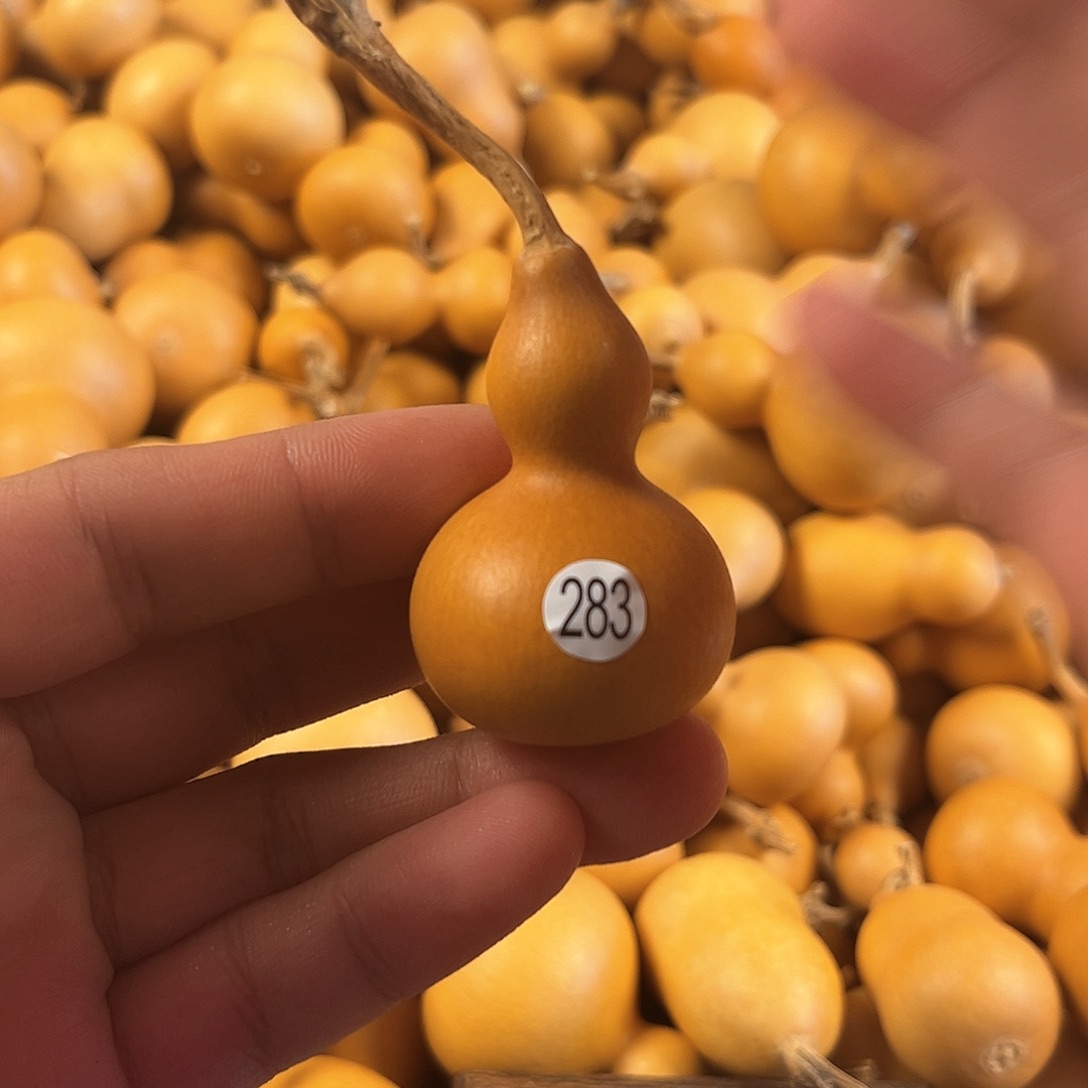 三葫芦葫芦葫芦葫芦283