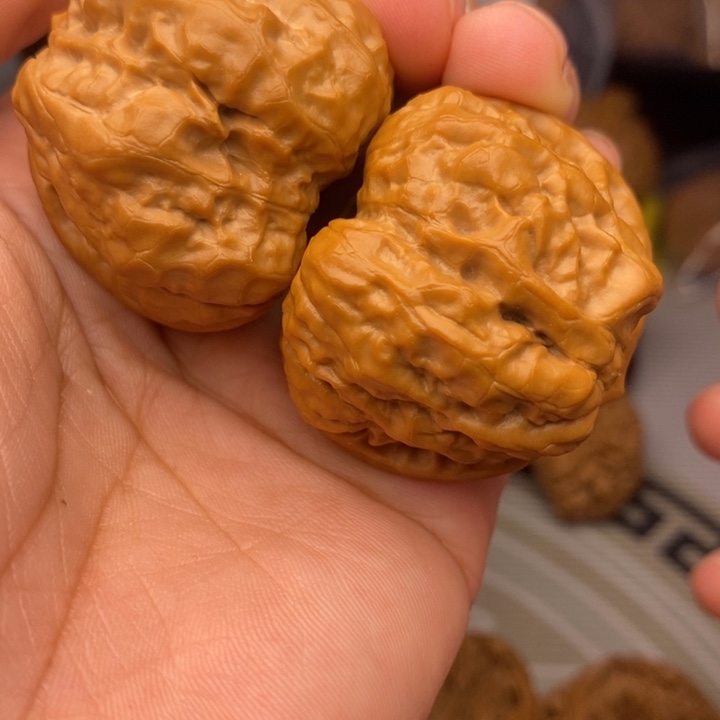 把件桃核蛤蟆头39