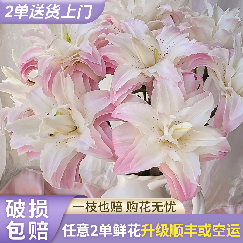 【源头优选】莲花皇后重瓣香水百合花水养插花用云南直发鲜花