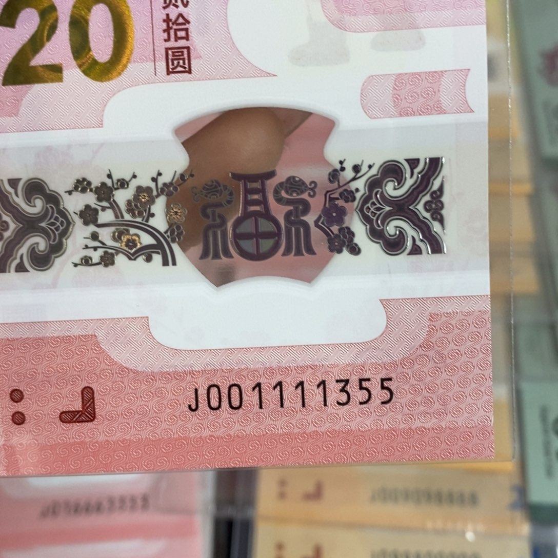 塑料1355……………………………………