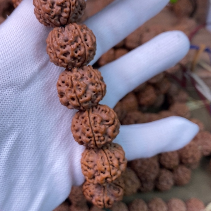 金刚菩提手串21古龙陈籽，粗筋双龙