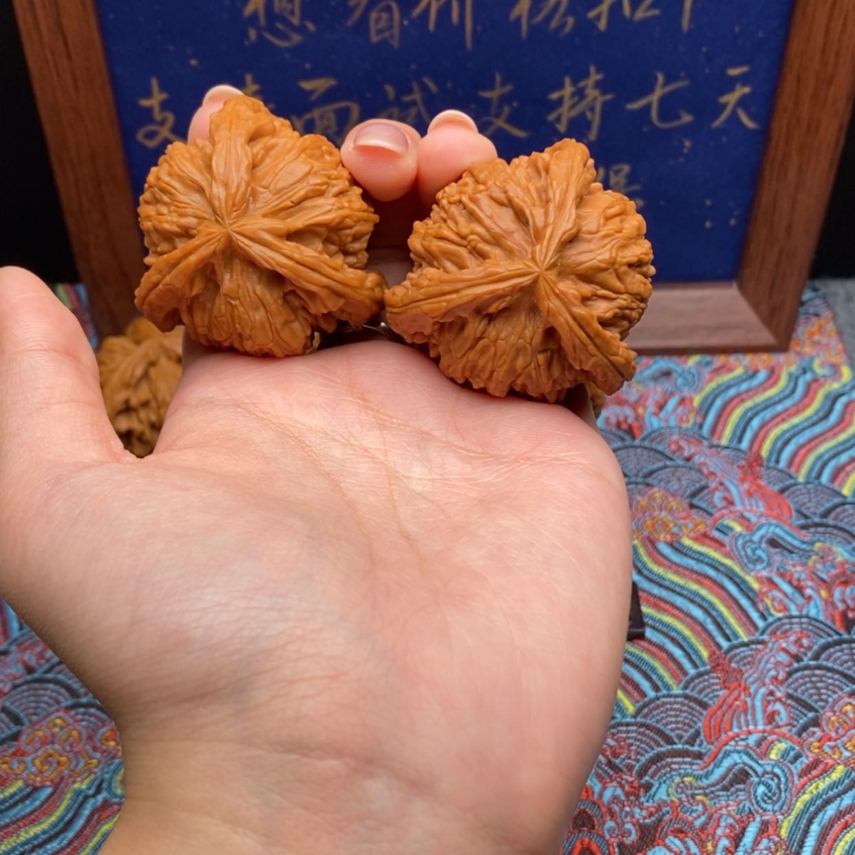 【闪购商品】·**·白狮