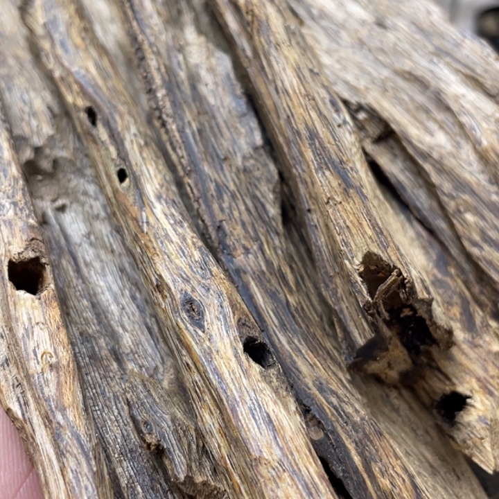 三***夫沉香沉香碎屑奇楠熟结50g