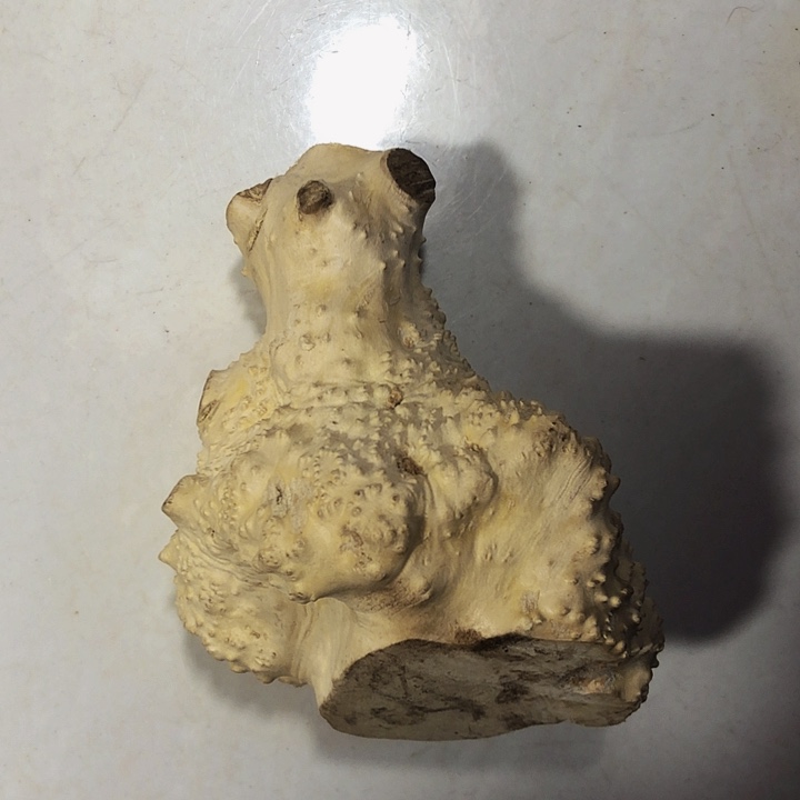 手***哥木木料木料木料木料