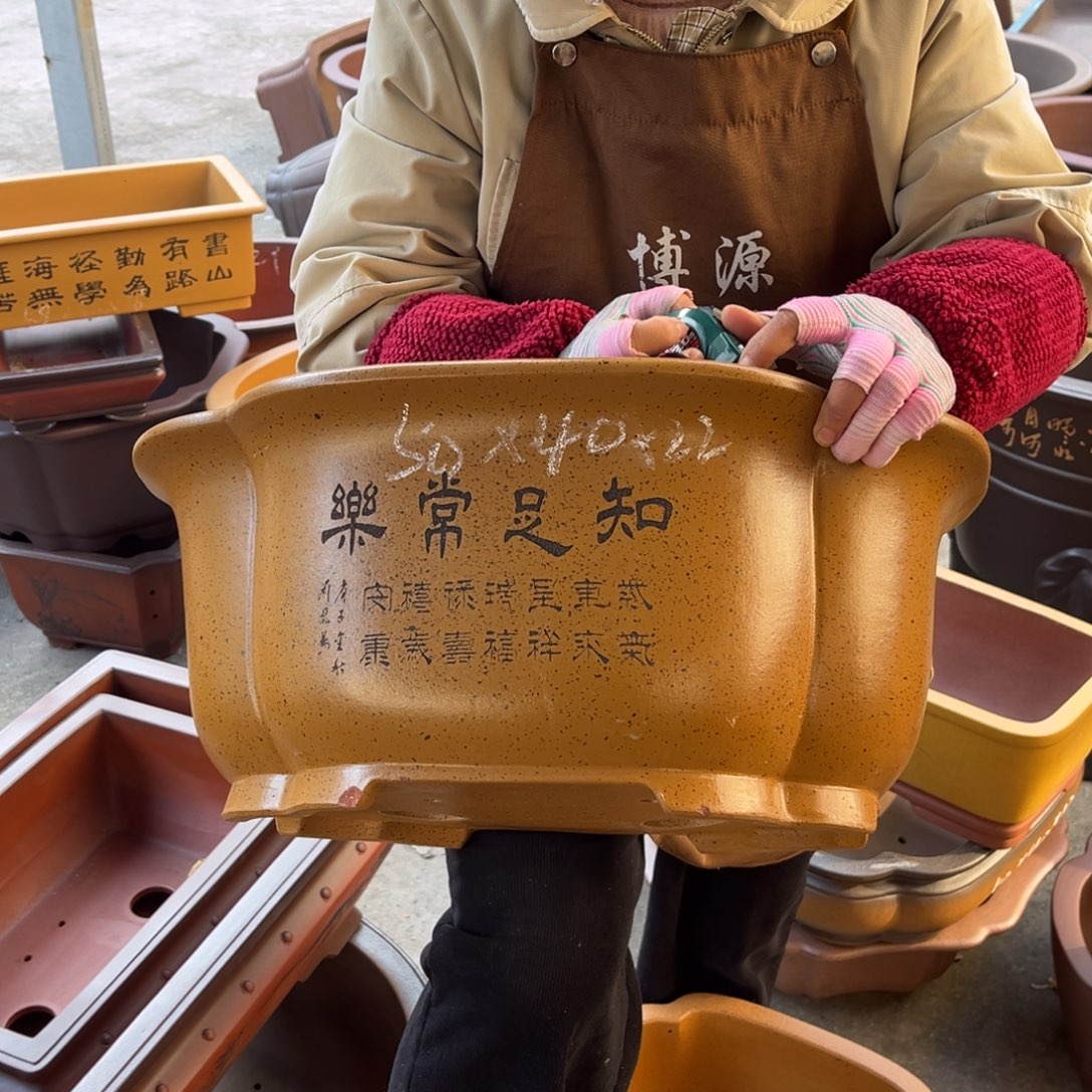 紫砂花盆盆景艺术