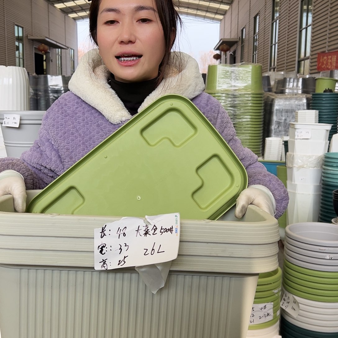 菜盆500#米白3个（含托）