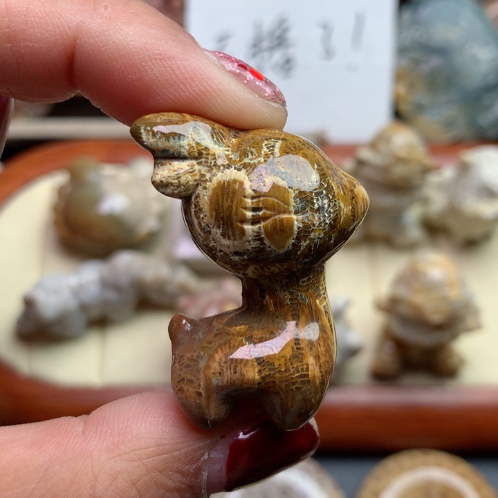 硅化珊瑚（珊瑚玉）颈饰未镶嵌