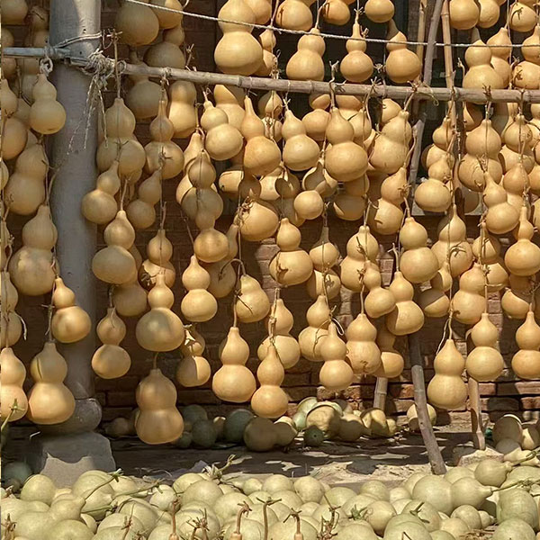 天然葫芦可盘玩带龙头的文玩福禄葫芦中号奶墩葫芦大葫芦精品葫芦