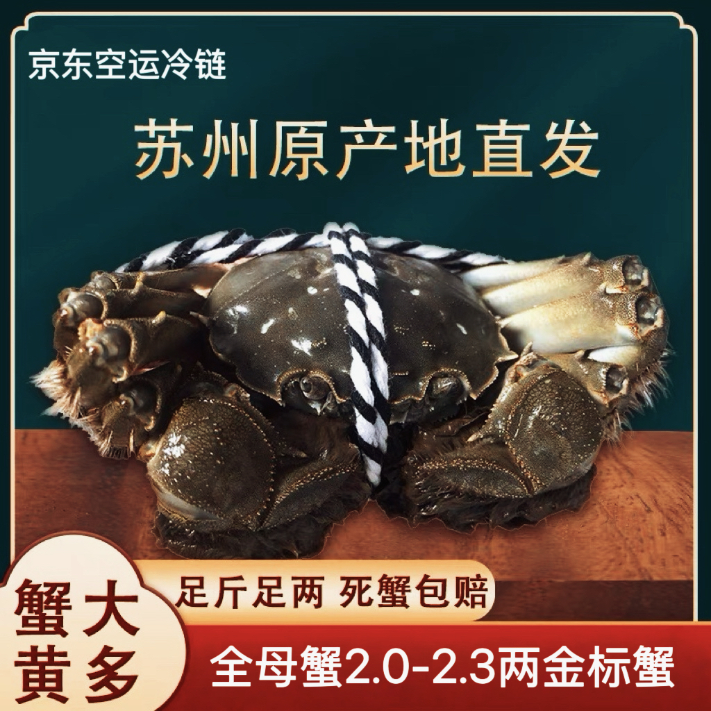 【苏州金标活蟹】全母蟹2.3~2.0两礼盒装冷链包邮8+2到手10只活蟹l